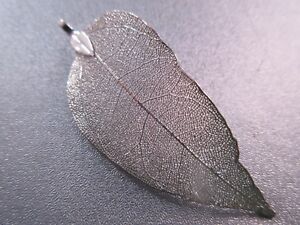Real Walnut Leaf Pendant Dipped Silver Plated 1pc 