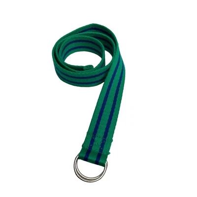 Polo Ralph Lauren Juvenil Talla 10 Verde Azul Rayas D-Anillo Cinta Cinturón EE. UU. Foto 1 de 4