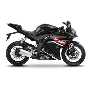 Vollverkleidung Kit mit McAMS Aufkleber für Yamaha YZF R125 08-13 (RE06) - Bild 1 von 12