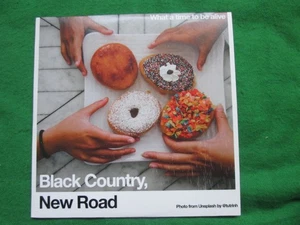 BLACK COUNTRY - NEW ROAD - WHAT A TIME TO BE ALIVE - NINJA TUNE - CD - Imagen 1 de 2