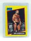 Arn Anderson 1991 Impel WCW Wrestling Trading Card - #48 - The Enforcer