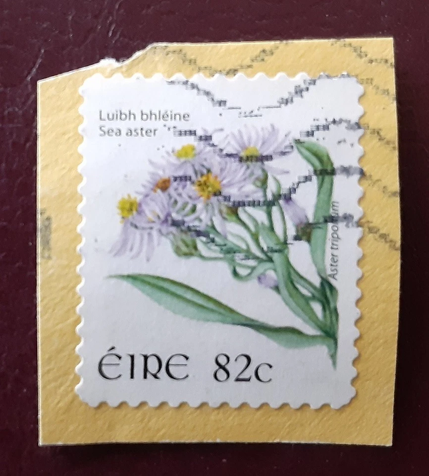 IRELAND 2008 82c Aster Flowers on Paper Mi 1815 Scott 1773 Superb 8899 - Image 1 of 1
