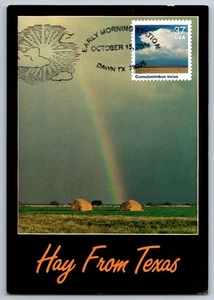 #3878e Cloudscapes Cumulonimbus Incus Maxi Card w/Pictorial Cancel - Picture 1 of 2