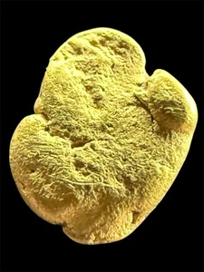 .595 GRAMS CALIFORNIA NATURAL PURE GOLD NUGGET GENUINE #CA200 - Picture 1 of 6