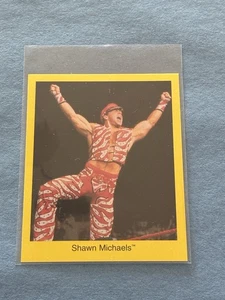 1997 Cardinal Wrestling WWF WWE Shawn Michaels Heartbreak Kid DGeneration X Rook - Picture 1 of 1