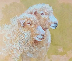 LINCOLN LONGWOOL SHEEP * VINTAGE PRINT OF A PAINTING BY BENINGFIELD - Picture 1 of 3