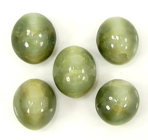 31.40 Ct Natural Cat's Eye Loose 11-12 mm Gemstone Cabochon 5 Pcs Lot Stone-1735 - Picture 1 of 3