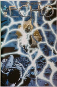 Echo #18 - Abstract Studios - Terry Moore - Picture 1 of 1