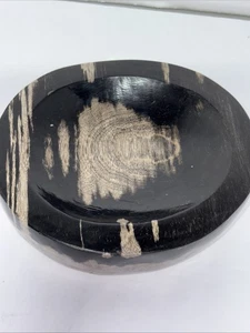 Polished Petrified Wood Fossil Trinket Dish Ashtray Tertiary Period 6.5” X 7.5” - Picture 1 of 7