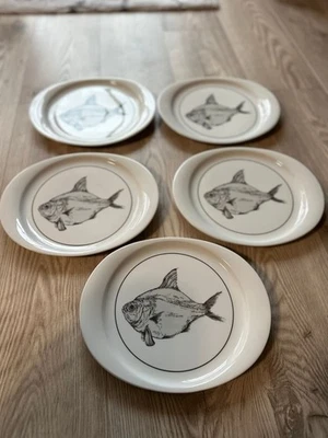 Arzberg 5x Fischteller Teller Neu - Bild 1 von 4
