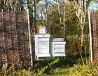 Photo 12X8 Bee Hives Criccieth  C2014