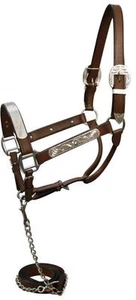Leather and Silver Western Horse Show Halter with Matching Lead and Chain - Picture 1 of 1