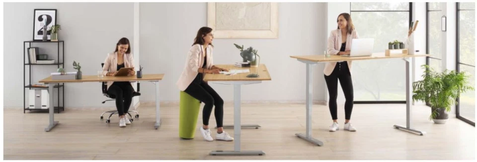 edjust el. höhenverstellbares Schreibtisch Gestell , 4-fach Memory, Doppelmotor - Bild 1 von 4