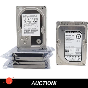(12 TB) 4xDell / Seagate / HGST 3TB 7.2K 3,5" HDD RÓŻNE PARTIE HOTSWAP - Zdjęcie 1 z 4