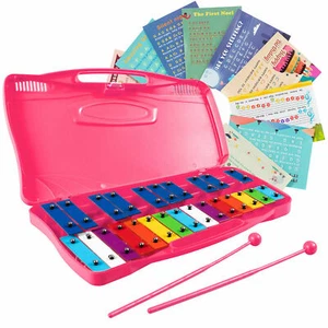 25 Notes Kids Glockenspiel Chromatic Metal Xylophone w/ Pink Case and 2 Mallets - Picture 1 of 10