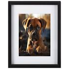 Super Cute Boxer Pup  A4 Print. Free Postage
