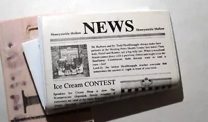 Lil Woodzeez Flugzeug Geißblatt hohl Zeitung Zubehör Spielzeug vorgeben zu spielen - Bild 1 von 4