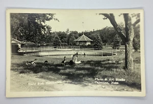 Postcard State Fish Hatcheries Valentine Nebraska RPPC Geese H152 - Picture 1 of 2
