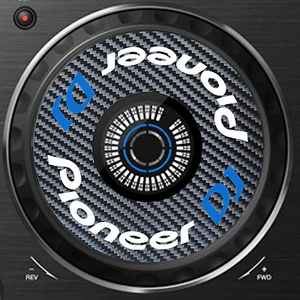 PIONEER DJ CARBON FIBRE DDJ-RX DDJ RX JOG / SLIPMAT GRAPHICS / STICKERS CDJ DJM - Picture 1 of 5