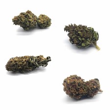 Infusion Chanvre Divers variété: Hawaiian Haze,Amnésia,Cannatonic,Triple Cheese