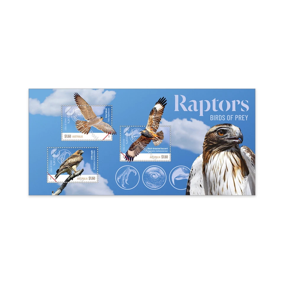 Australia - Australian Raptors - Birds of Prey - Image 1 of 1