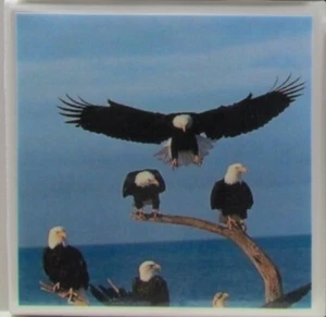 1er Set - Handgefertigte Keramikfliesen Untersetzer - Adler (Kaufen Sie 3 erhalten Sie 1 gratis) 3 C - Bild 1 von 5