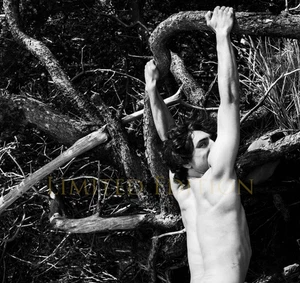 Handsome Male Nude Physique Gay Interest Limited Edition Photo 8.5x11 8.25 - Picture 1 of 2