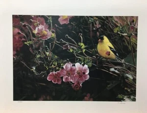 Terry Isaac Good as Gold Goldfinch Signed Limited Edition Art Print - Picture 1 of 1