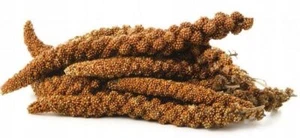 10kg Kolbenhirse rot Vogelfutter Körnerfutter Hirse Vogel Senegalische Hirse - Bild 1 von 4