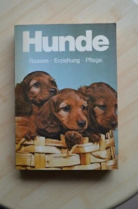 Hunde - Bild 1 von 3
