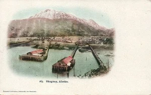 Early Pre 1907 #265 Skaguay Alaska AK Postcard - Picture 1 of 2