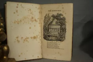 1827 antique book The Honey Bee Natural History Physiology Management - Picture 1 of 10