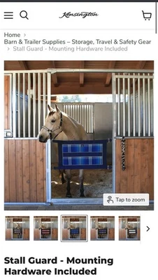 Kensington Stall Guard With Hardware-Kentucky Blue