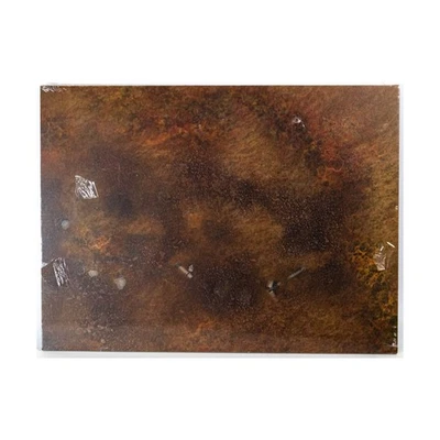 GW AoS Warcry Warcry - Heart of Ghur, ¡solo tablero! SW (VG+/Nuevo) Foto 1 de 2