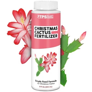 Christmas Cactus Fertilizer for All Christmas Cacti and Schlumbergera Cacti, ... - Picture 1 of 5