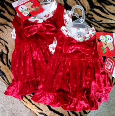 Pet Dress Dog or Cat Red Velvet w/ Flowers Holiday Christmas xs sm . New w Tag! - Image 1 of 4