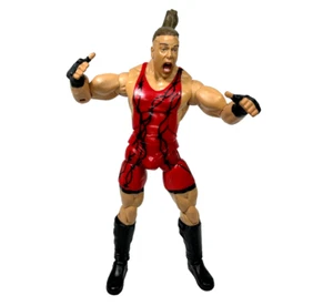 Figura de lucha libre de agresión de lujo Rob Van Dam 2006 WWF WWE Jakks RVD serie 5 - Imagen 1 de 5