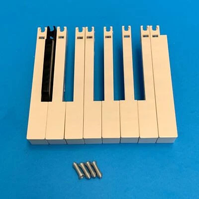 Teclas de teclado M-AUDIO KeyStation 61es 88es blanco negro resorte de teclas [Seleccionar pieza] Foto 1 de 4