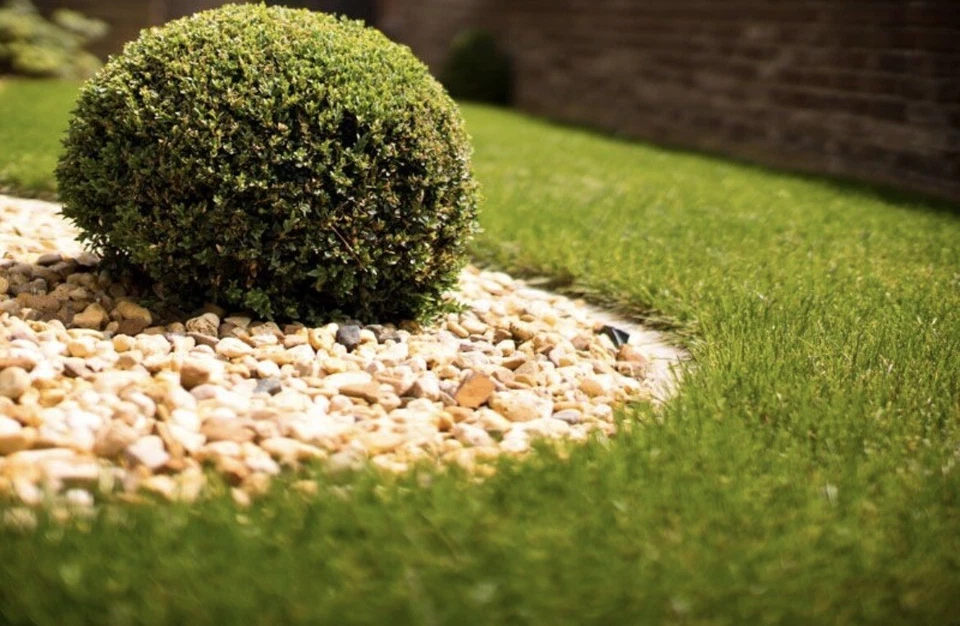 2 KG | Rinderdung | Gartendünger | Naturdung | Organischerdung - Bild 1 von 1