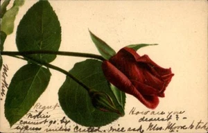 Postal de felicitación de arte de flor de rosa de 1907 - Imagen 1 de 2