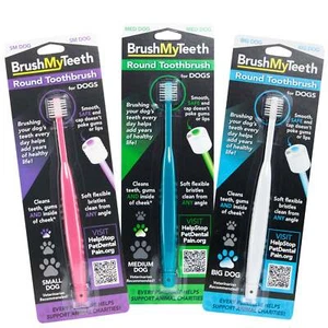 BrushMyTeeth Small Dog Toothbrush Round Flexible Bristles for Safe Brushing - Picture 1 of 7