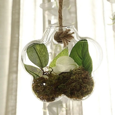 3 jarrones de pared de vidrio FLOR TRANSPARENTE para terrarios hogar boda eventos centros de mesa Foto 1 de 4