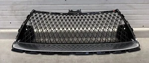 2018 2019 2020 2021 2022 2023 LEXUS LC500 Front  LOWER Grill GRILLE Genuine OEM - Picture 1 of 8