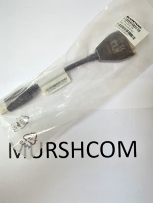 Lenovo 43N9160 43N9159 54Y9903 DisplayPort To Single-Link DVI-D Adapter Cable - Image 1 of 3