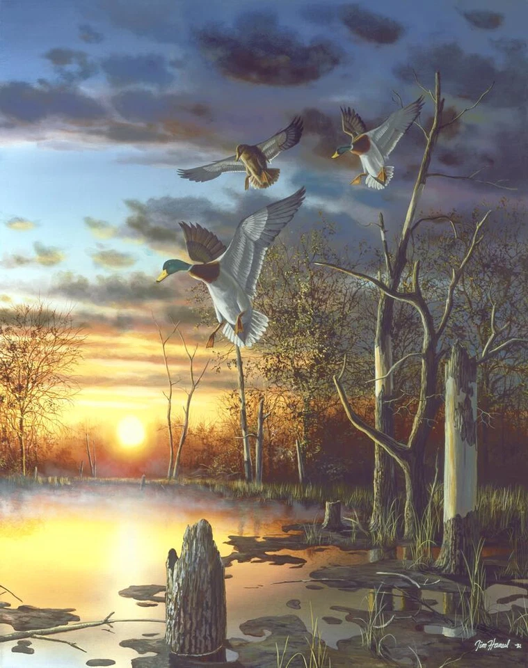 Ceramic Backsplash Tile Mural Waterfowl Kitchen/Bathroom - Evening Splendor 1 - Image 1 of 1