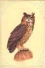 Eurasian Eagle Owl Art Handmade Bird of Prey Rare Watercolor Miniature Painting