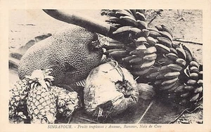 Singapur - Frutas tropicales - Piñas, plátanos y cocos - Publ. desconocido - Imagen 1 de 2