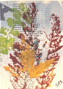 ACEO Kunstkarte Original, Pflanzenpressung, Acryl, Atlas, Outsider Art, Brut Art - Bild 1 von 4