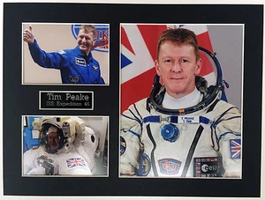 SPACE Tim PEAKE 16 x 12 Montaje B, Astronauta Británico ESA ISS EXPLORACIÓN 46 - Imagen 1 de 1
