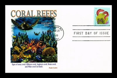DR JIM STAMPS US CARD CORAL REEFS POSTCARD RATE FIRST DAY ISSUE PANDA CACHET - Image 1 of 2